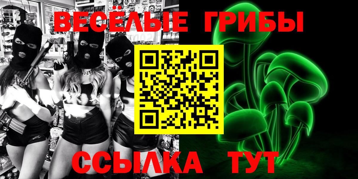 Кулебаки  продажа наркотиков  Вход с VPN  Псилоцибиновые грибы MAGIC MUSHROOMS  Галлюциногенные грибы Magic Shrooms 